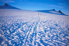 Camp 2 on the Col
